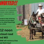 Donkey Farm Bed and Breakfast Ribbon Cutting and Grand Opening